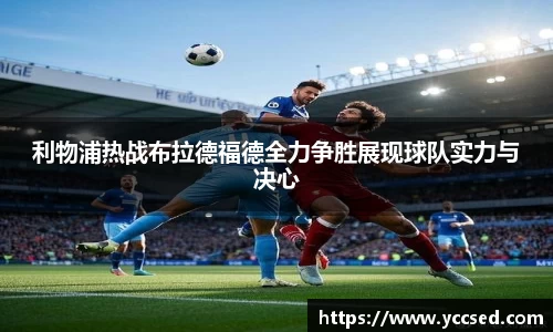 DB旗舰官网